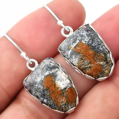 Natural Indian Blanket Jasper Earrings E-1113 SDE52845