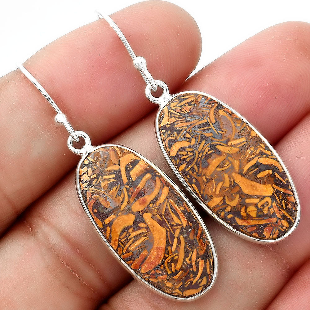 Natural Coquina Fossil Jasper India Earrings E-1001 SDE54926