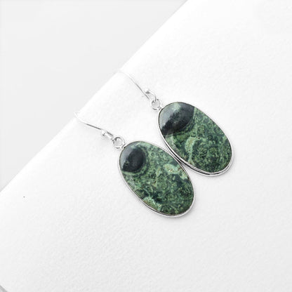 Natural Star Galaxy Jasper Earrings E-1001 SDE56103