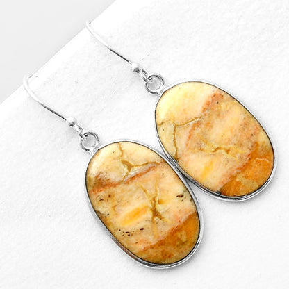 Natural Coral Jasper Earrings E-1001 SDE56368