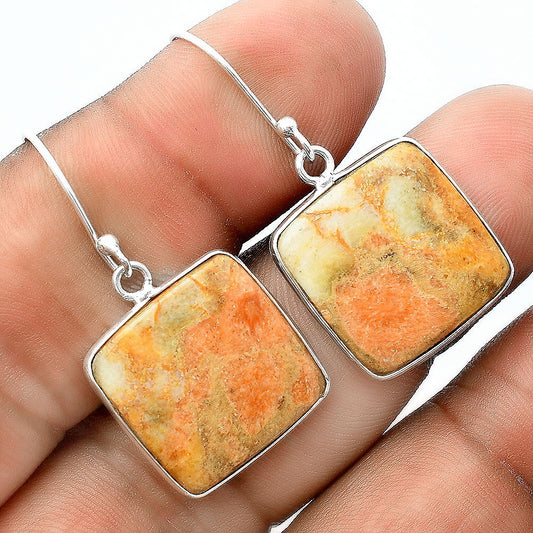 Natural Coral Jasper Earrings E-1001 SDE56404