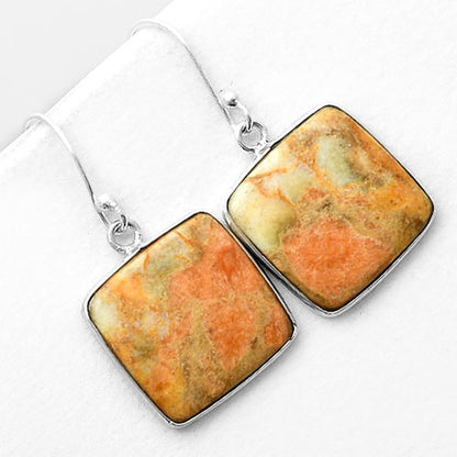 Natural Coral Jasper Earrings E-1001 SDE56404
