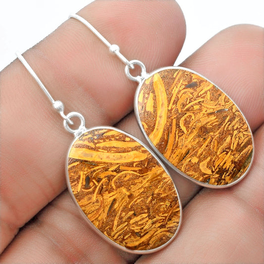 Natural Coquina Fossil Jasper India Earrings E-1001 SDE57410