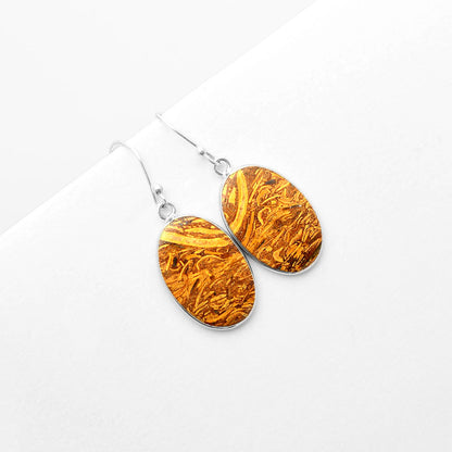 Natural Coquina Fossil Jasper India Earrings E-1001 SDE57410