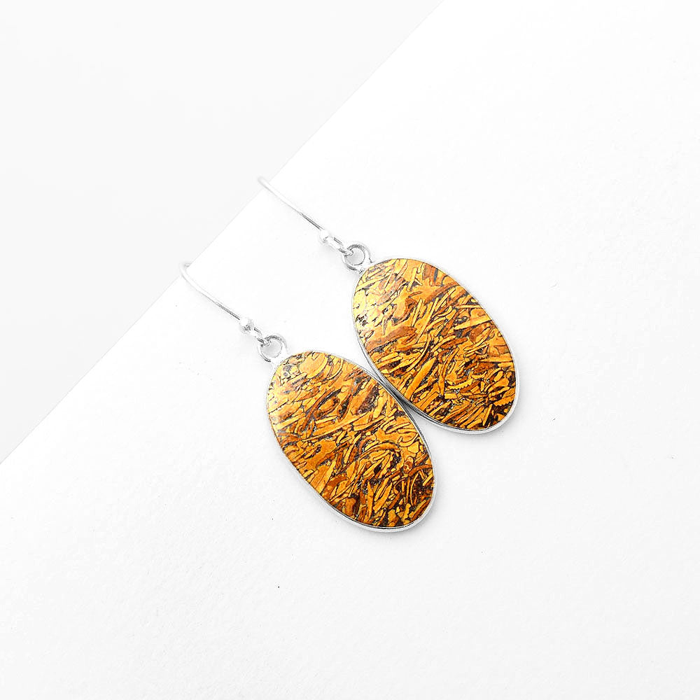 Natural Coquina Fossil Jasper India Earrings E-1001 SDE57414