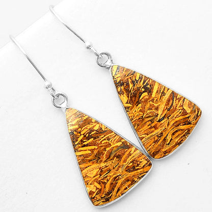 Natural Coquina Fossil Jasper India Earrings E-1001 SDE57417