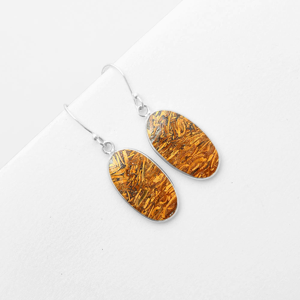 Natural Coquina Fossil Jasper India Earrings E-1001 SDE57428