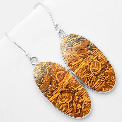 Natural Coquina Fossil Jasper India Earrings E-1001 SDE57431