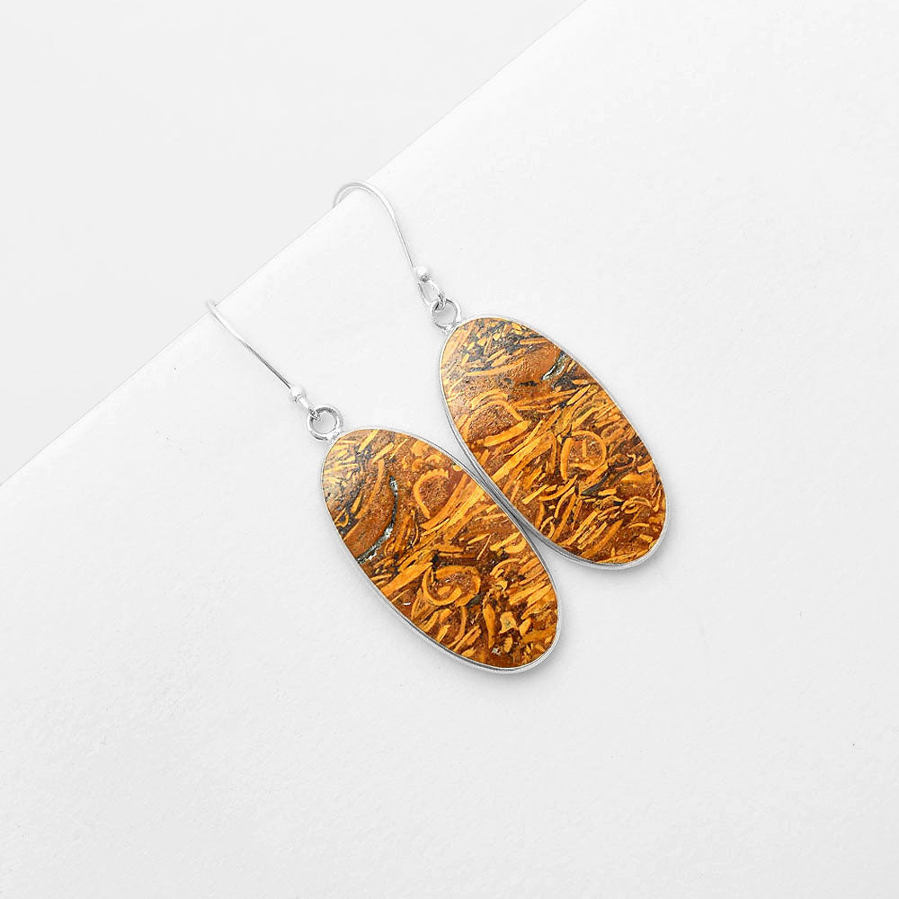 Natural Coquina Fossil Jasper India Earrings E-1001 SDE57431