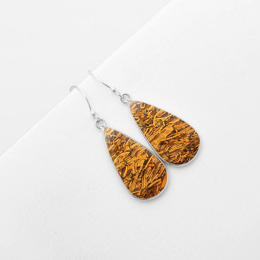 Natural Coquina Fossil Jasper India Earrings E-1001 SDE57433
