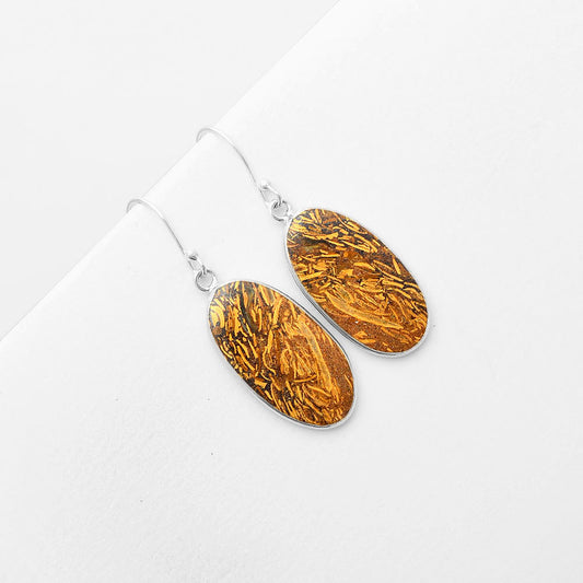 Natural Coquina Fossil Jasper India Earrings E-1001 SDE57436