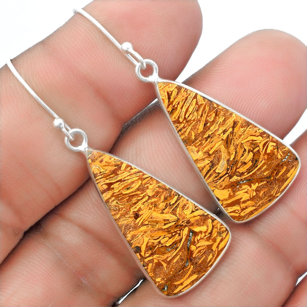 Natural Coquina Fossil Jasper India Earrings E-1001 SDE57437