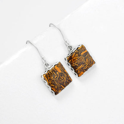 Natural Coquina Fossil Jasper India Earrings E-1113 SDE61366