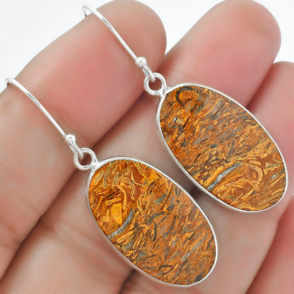 Natural Coquina Fossil Jasper India Earrings E-1001 SDE61373