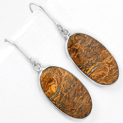 Natural Coquina Fossil Jasper India Earrings E-1001 SDE61373
