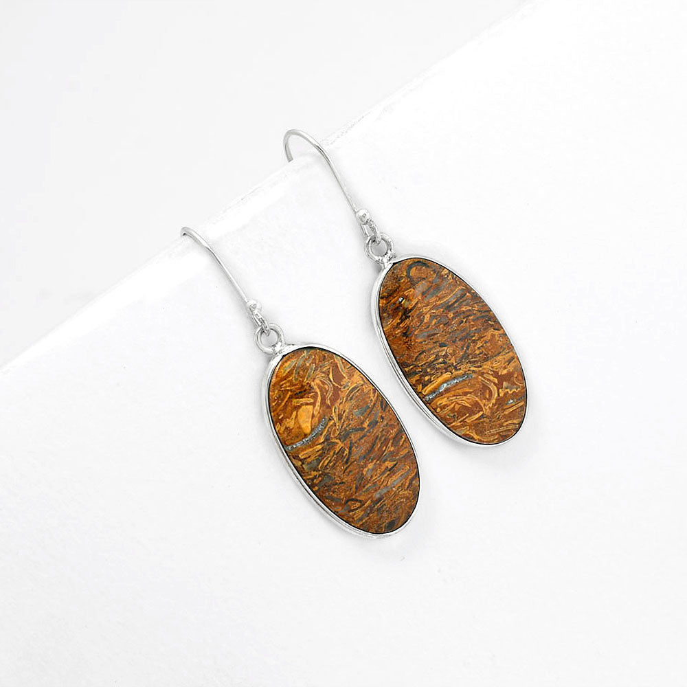 Natural Coquina Fossil Jasper India Earrings E-1001 SDE61373
