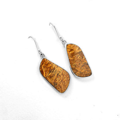 Natural Coquina Fossil Jasper India Earrings E-1001 SDE61381