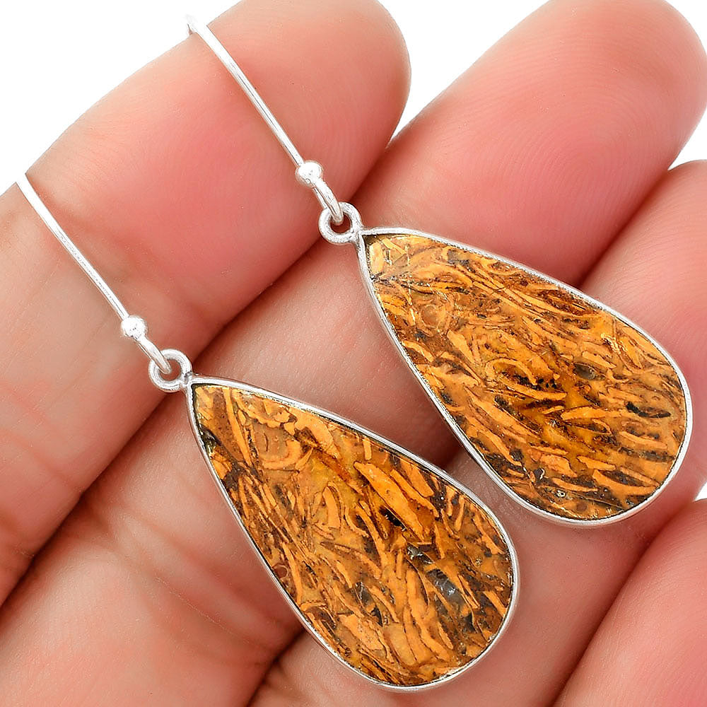 Natural Coquina Fossil Jasper India Earrings E-1001 SDE62450