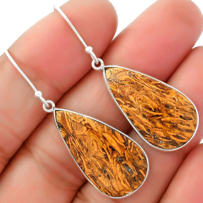 Natural Coquina Fossil Jasper India Earrings E-1001 SDE62450