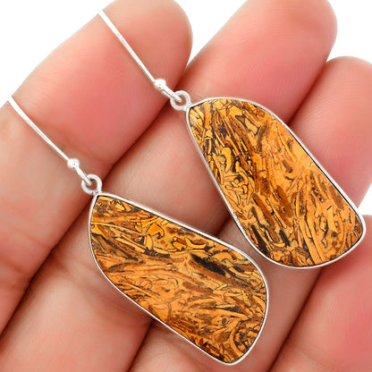 Natural Coquina Fossil Jasper India Earrings E-1001 SDE62451