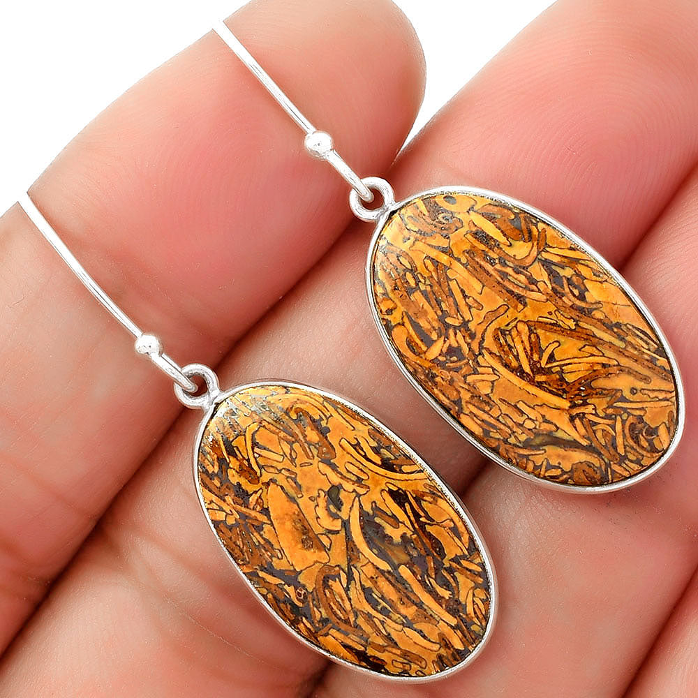 Natural Coquina Fossil Jasper India Earrings E-1001 SDE62454