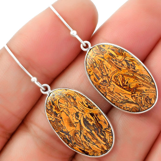 Natural Coquina Fossil Jasper India Earrings E-1001 SDE62454