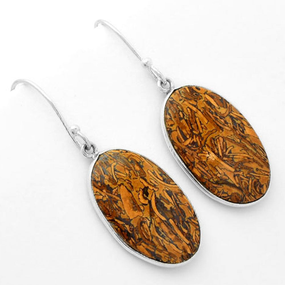 Natural Coquina Fossil Jasper India Earrings E-1001 SDE62454