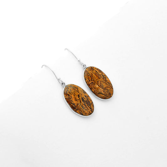 Natural Coquina Fossil Jasper India Earrings E-1001 SDE62454