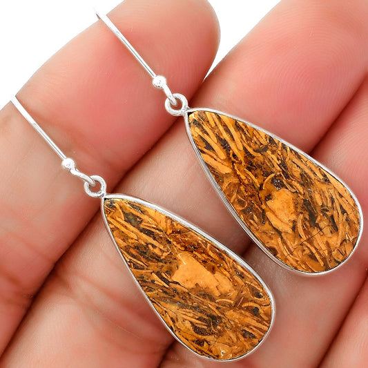 Natural Coquina Fossil Jasper India Earrings E-1001 SDE62455