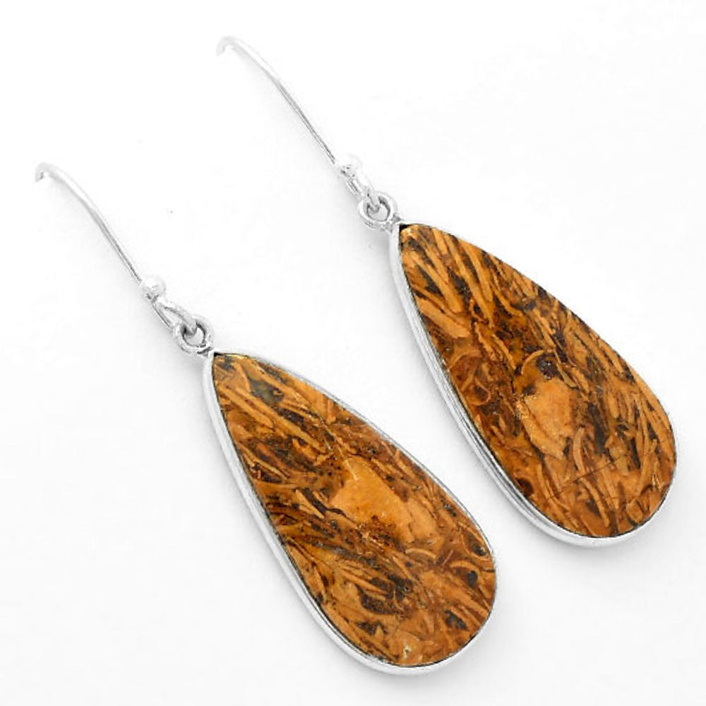 Natural Coquina Fossil Jasper India Earrings E-1001 SDE62455
