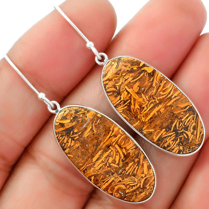 Natural Coquina Fossil Jasper India Earrings E-1001 SDE62456