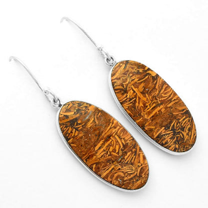 Natural Coquina Fossil Jasper India Earrings E-1001 SDE62456