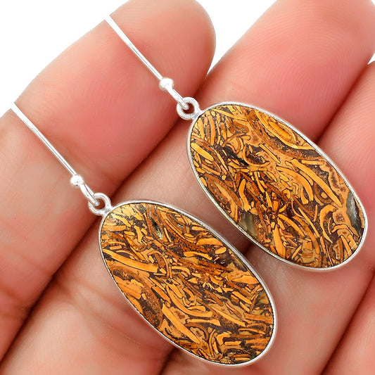 Natural Coquina Fossil Jasper India Earrings E-1001 SDE62457