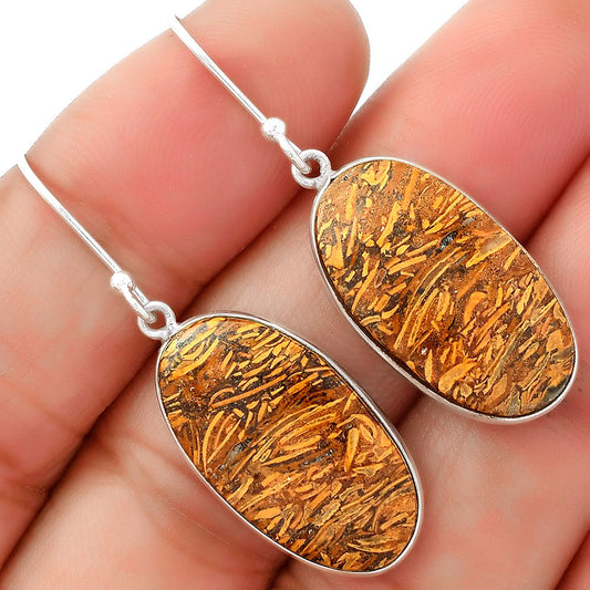 Natural Coquina Fossil Jasper India Earrings E-1001 SDE62458
