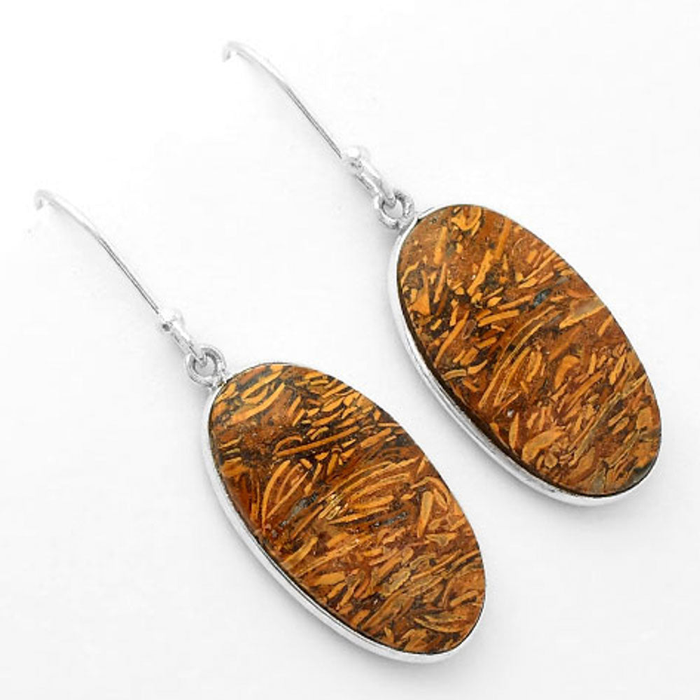 Natural Coquina Fossil Jasper India Earrings E-1001 SDE62458