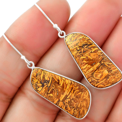 Natural Coquina Fossil Jasper India Earrings E-1001 SDE62459