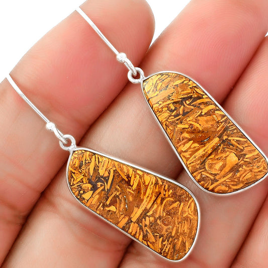 Natural Coquina Fossil Jasper India Earrings E-1001 SDE62459