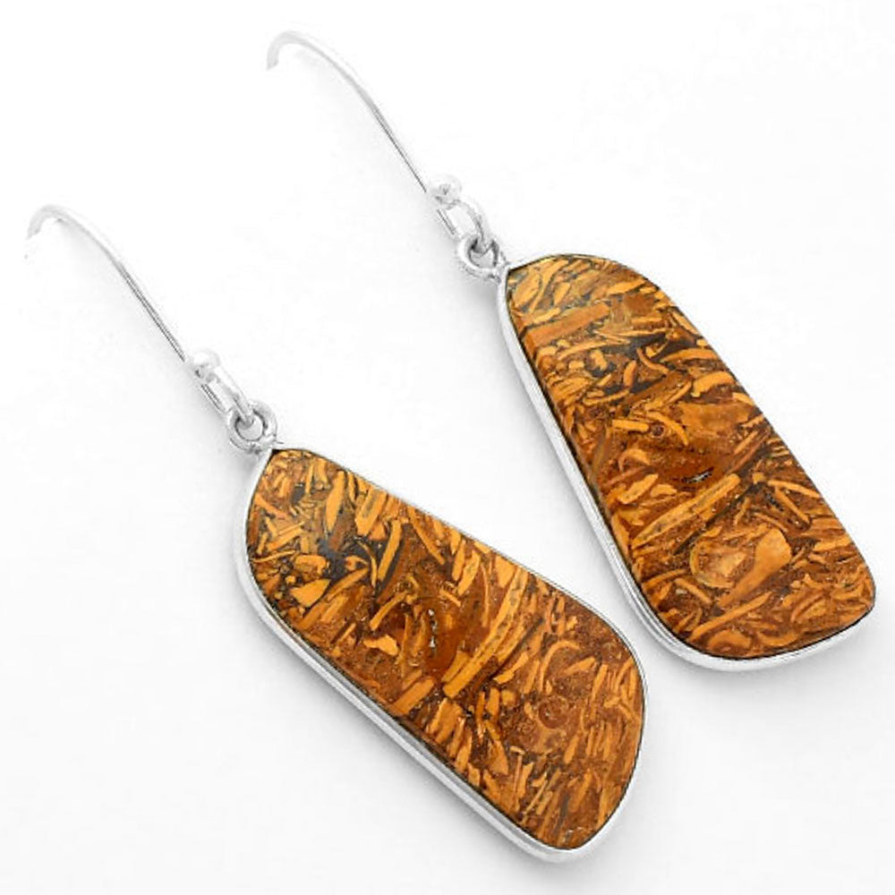 Natural Coquina Fossil Jasper India Earrings E-1001 SDE62459