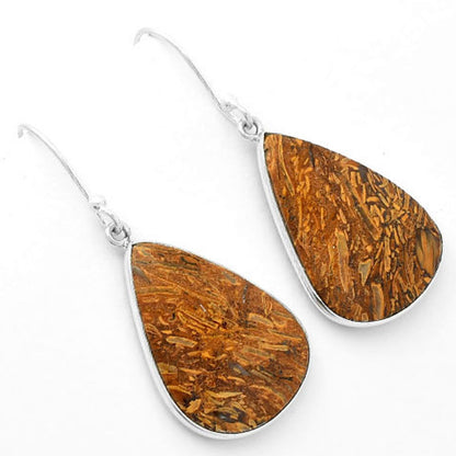 Natural Coquina Fossil Jasper India Earrings E-1001 SDE62460