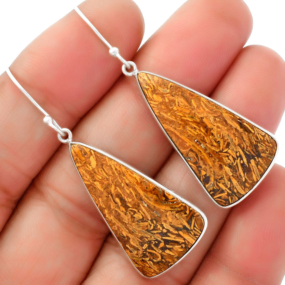 Natural Coquina Fossil Jasper India Earrings E-1001 SDE62461