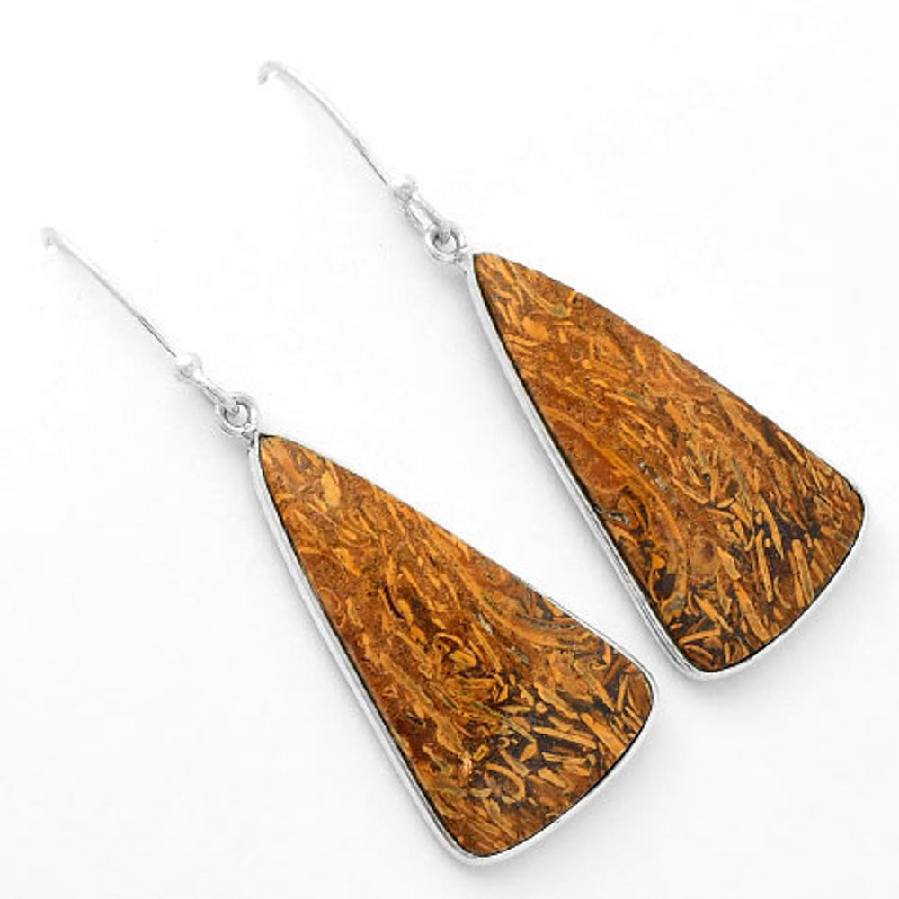 Natural Coquina Fossil Jasper India Earrings E-1001 SDE62461