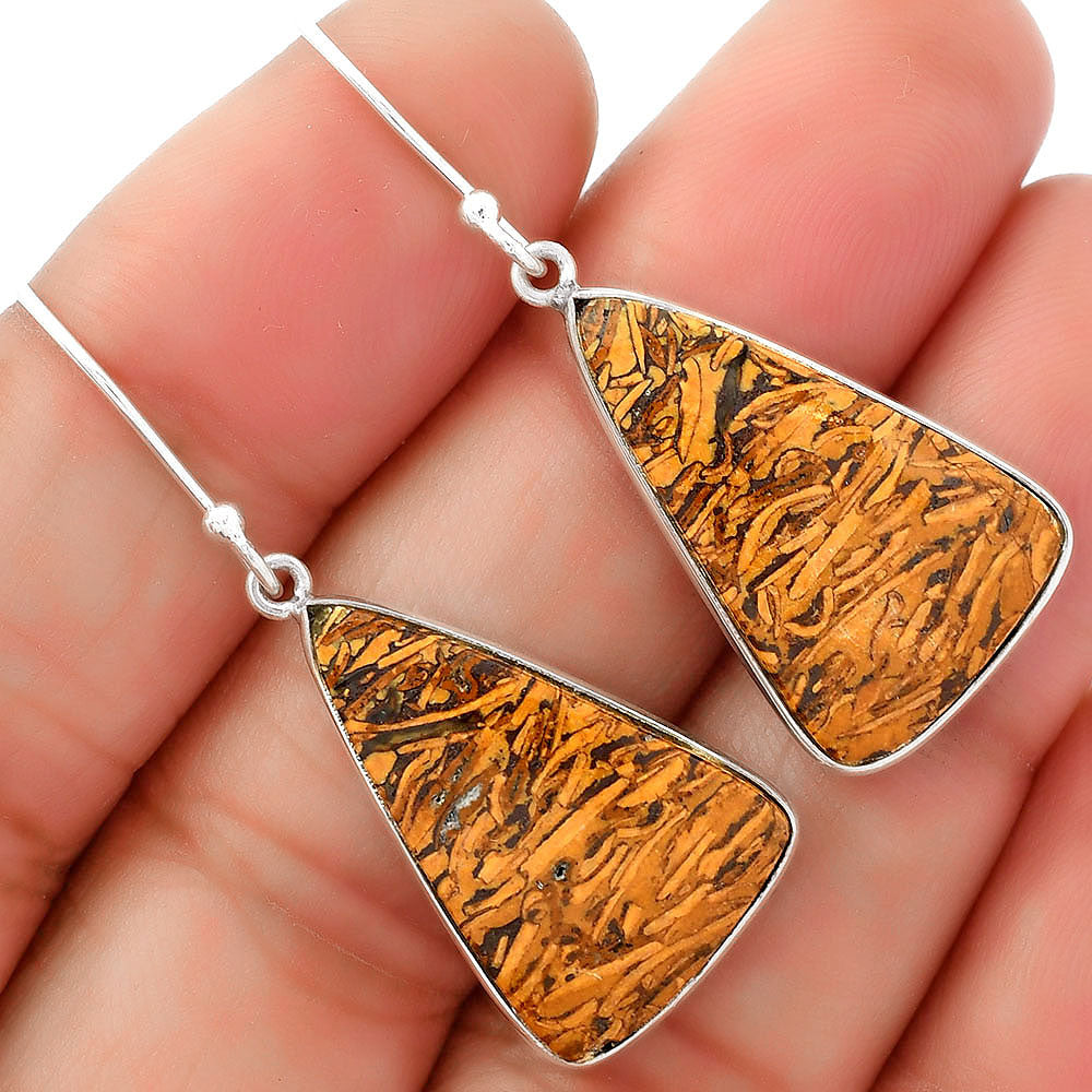Natural Coquina Fossil Jasper India Earrings E-1001 SDE62462