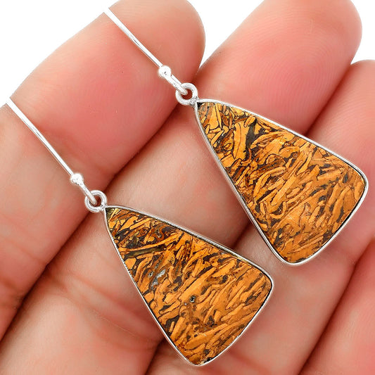 Natural Coquina Fossil Jasper India Earrings E-1001 SDE62462