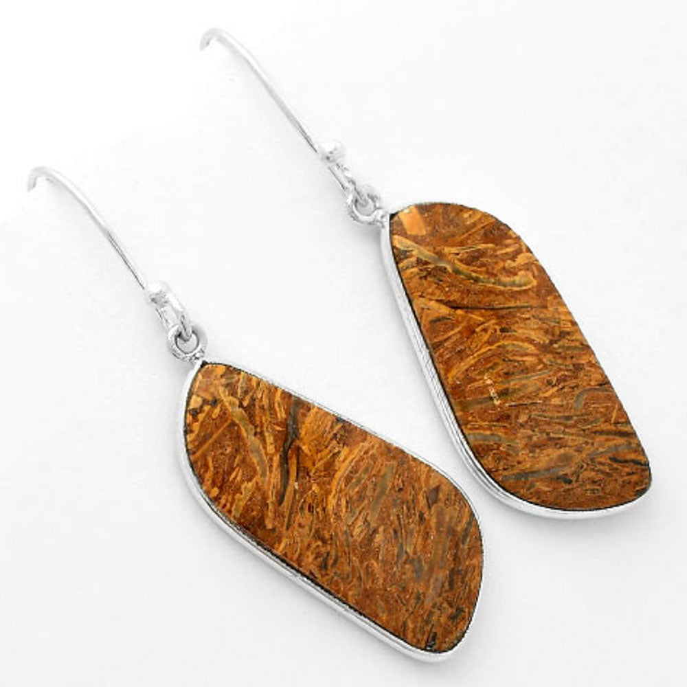 Natural Coquina Fossil Jasper India Earrings E-1001 SDE62463