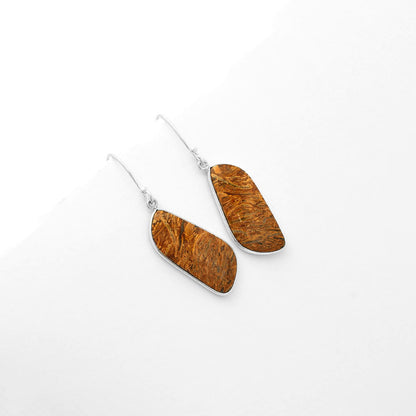 Natural Coquina Fossil Jasper India Earrings E-1001 SDE62463