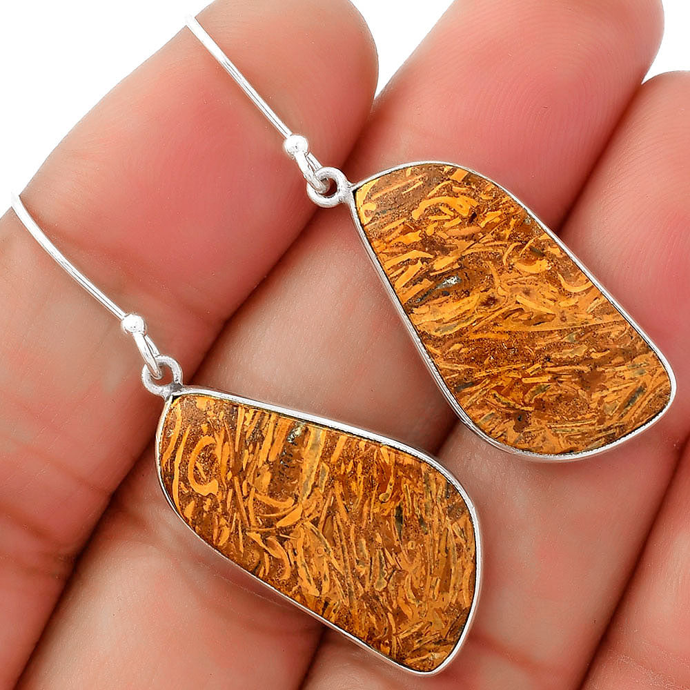 Natural Coquina Fossil Jasper India Earrings E-1001 SDE62464