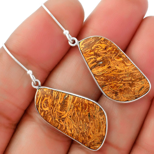 Natural Coquina Fossil Jasper India Earrings E-1001 SDE62464