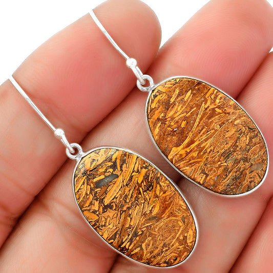 Natural Coquina Fossil Jasper India Earrings E-1001 SDE62466