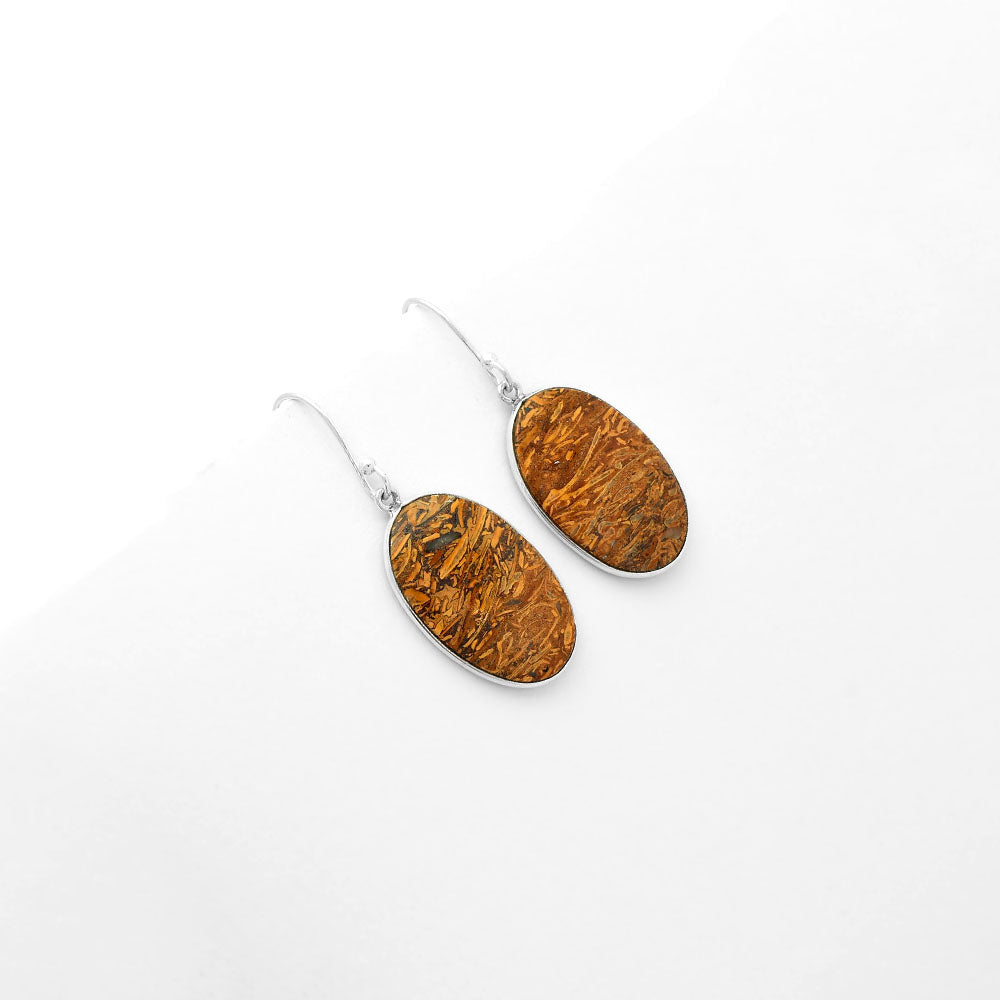 Natural Coquina Fossil Jasper India Earrings E-1001 SDE62466