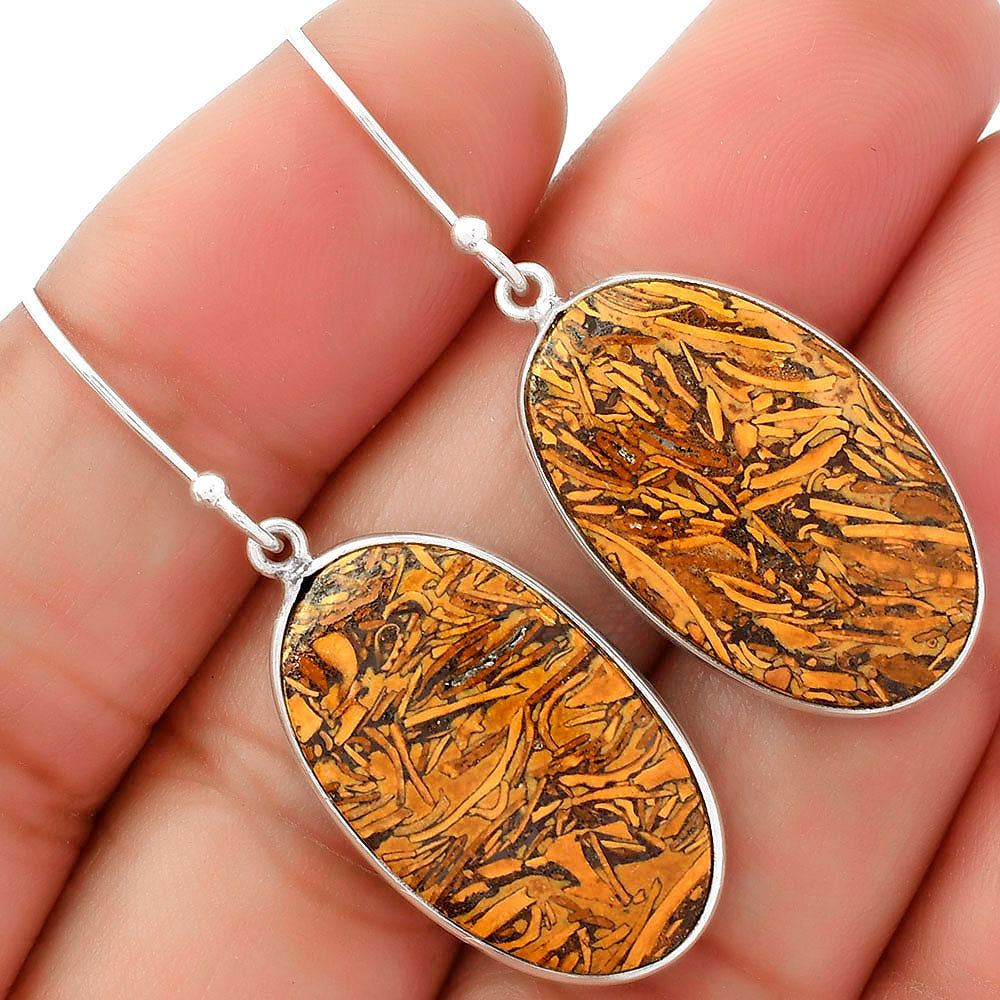 Natural Coquina Fossil Jasper India Earrings E-1001 SDE62468